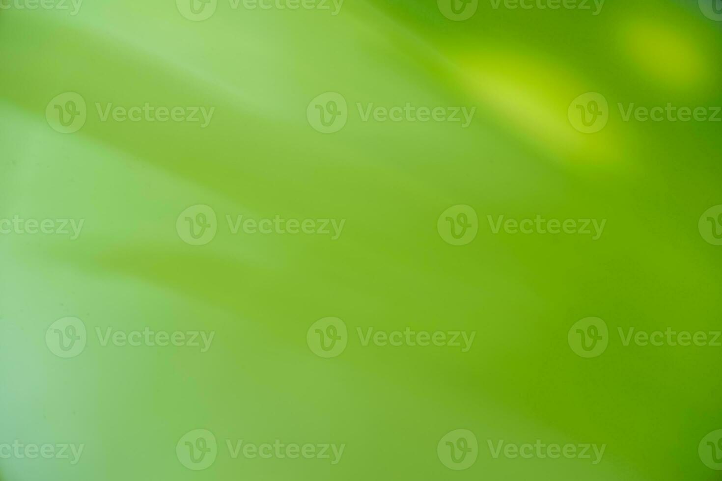 Nature view of green leaf on blurred greenery background in garden with copy space using as background natural green plants landscape, ecology, fresh wallpaper photo