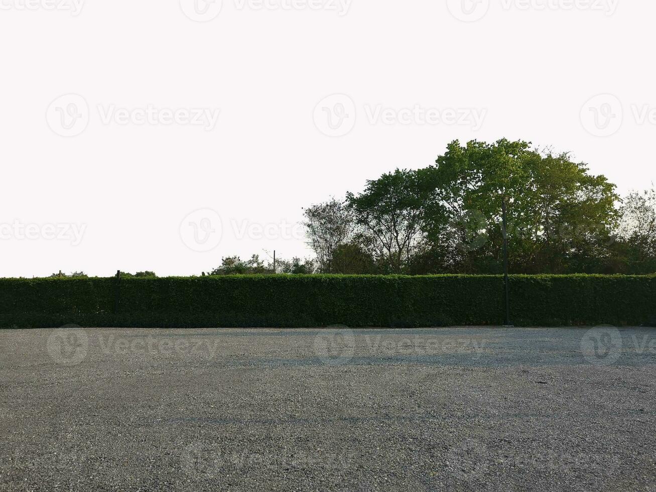 Parking lot sprinkled with gravel on tree bush nature white background photo