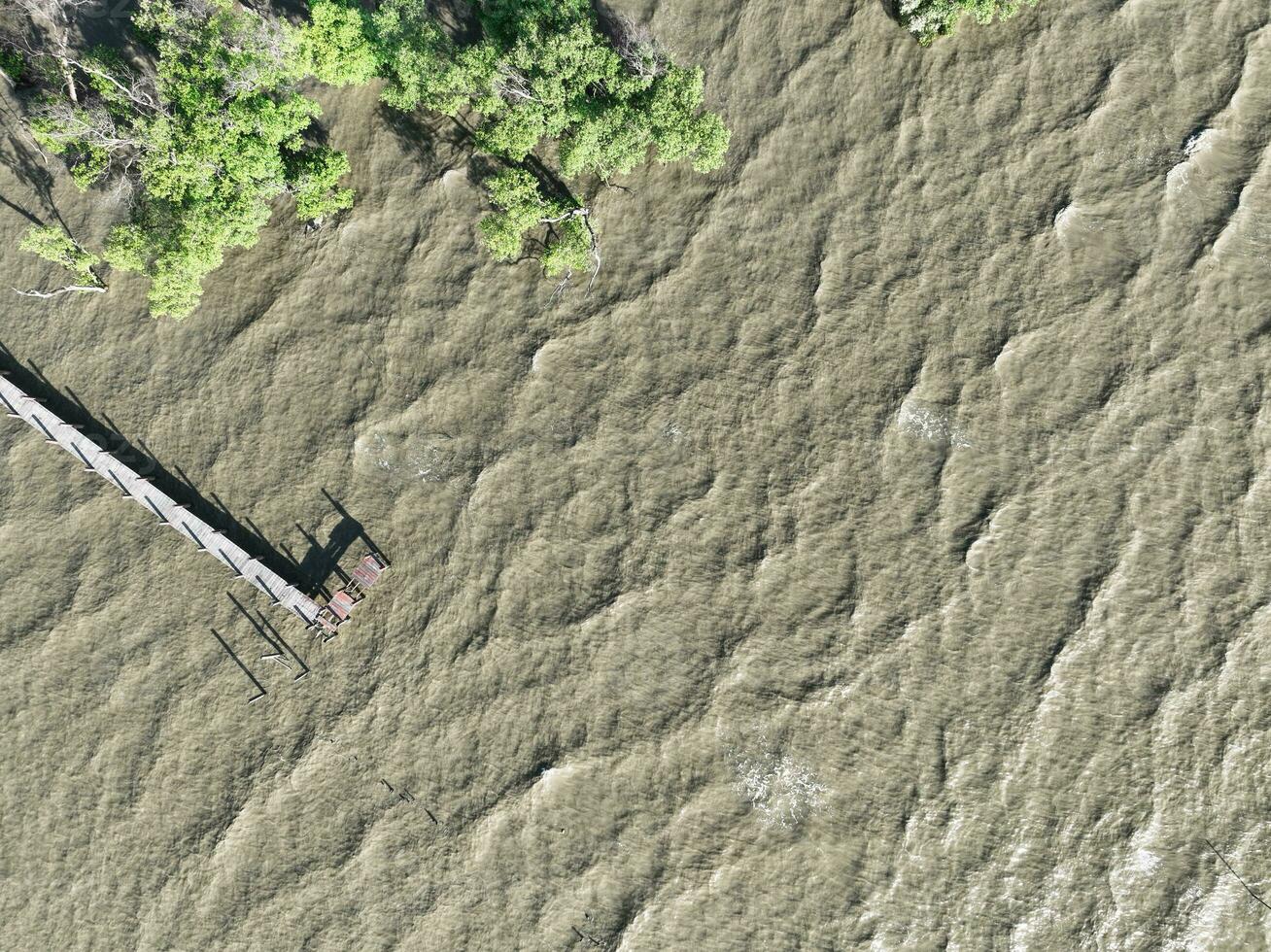Aerial view green mangrove trees, wooden bridge, and seawater. Net zero emissions. Natural carbon sinks. Mangrove tree capture CO2. Blue carbon ecosystems. Mangroves absorb carbon dioxide emissions. photo