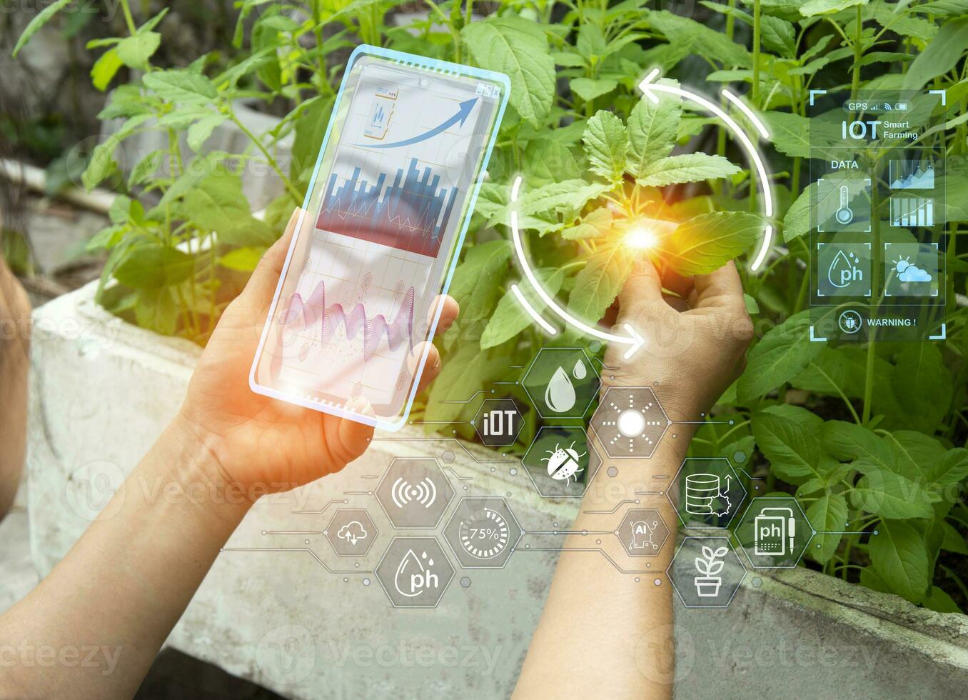 The concept of using AI and smart farming photo