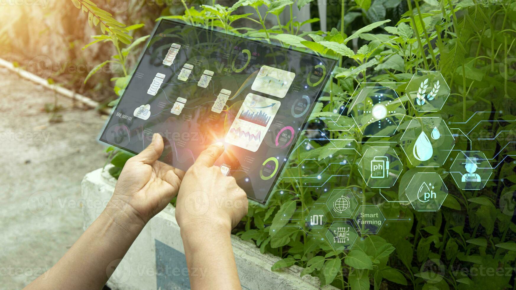 The concept of using AI and smart farming photo