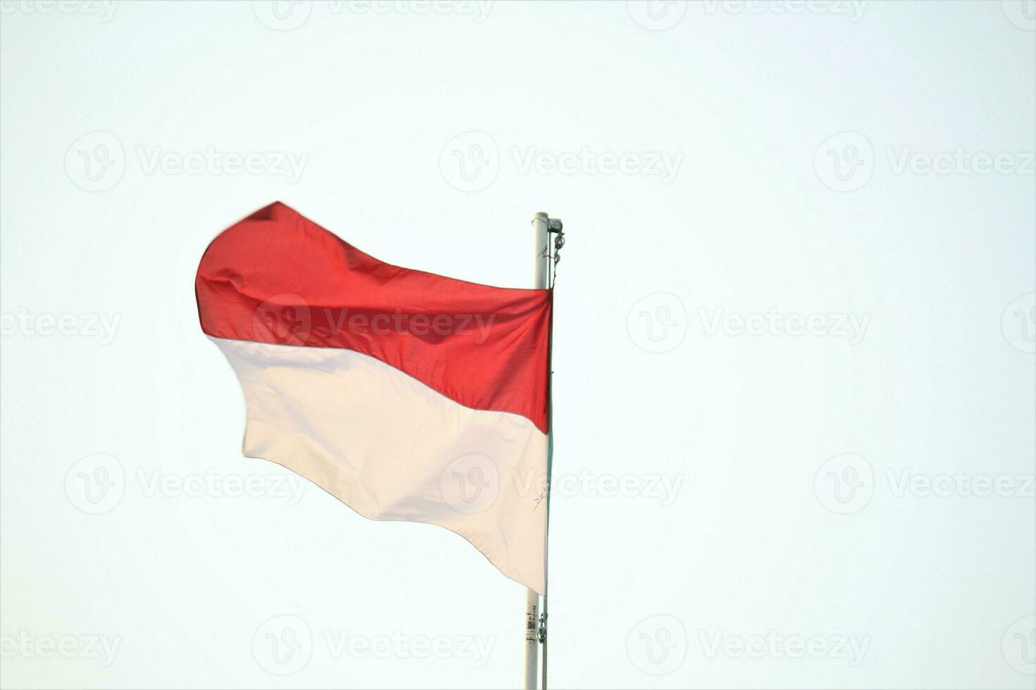 indonesian flag red and white photo