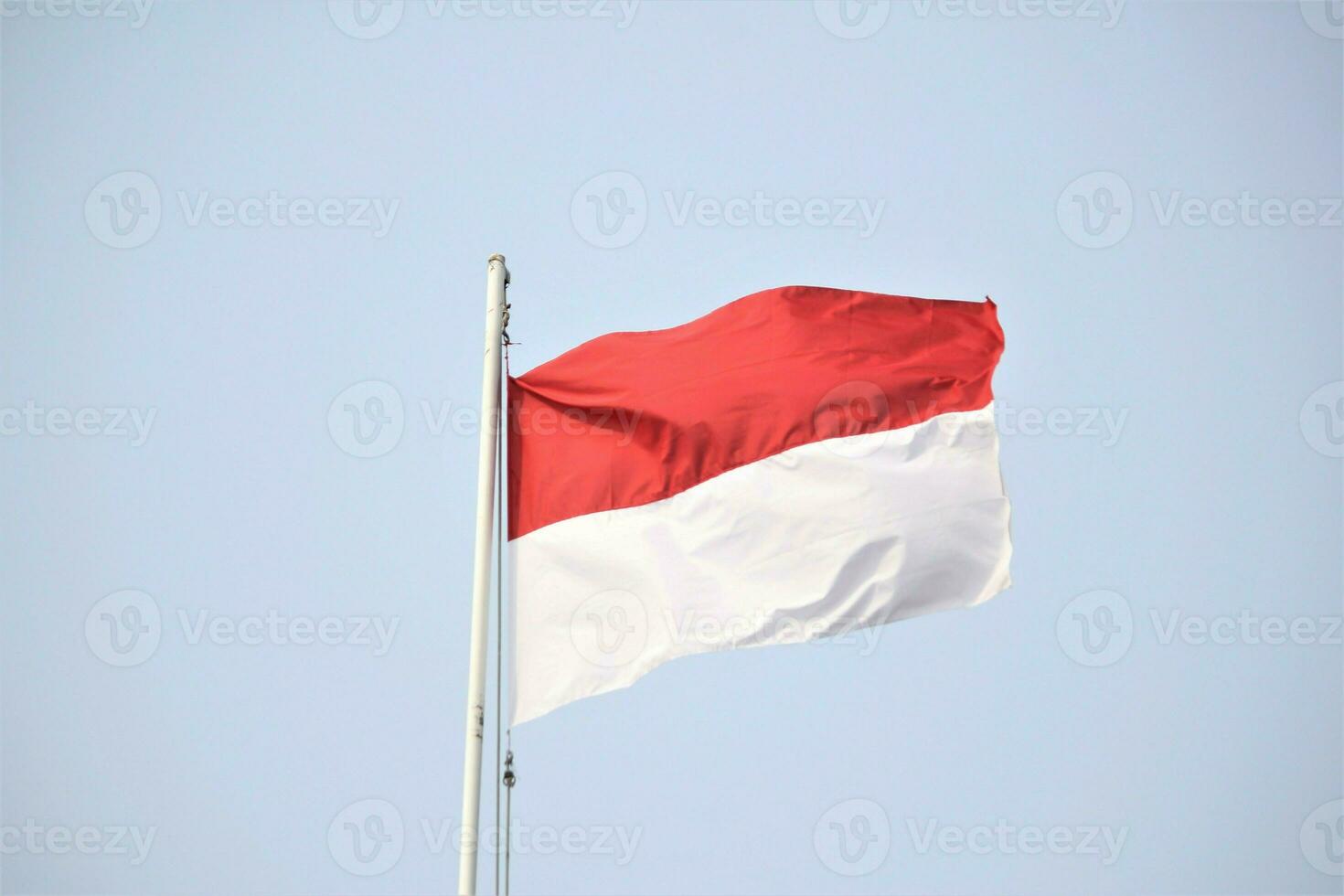 indonesian flag red and white photo
