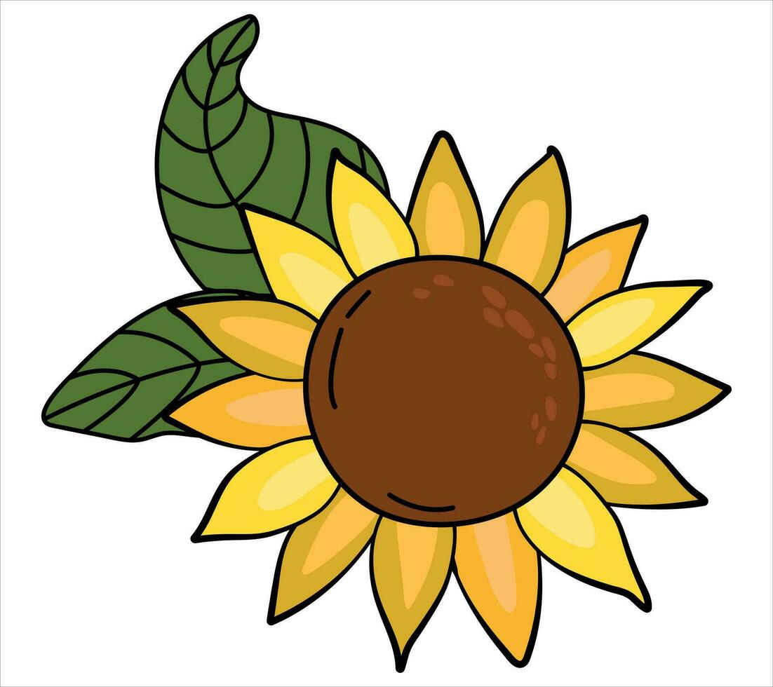 Sunflower on a white isolated background. Cartoon style. vector