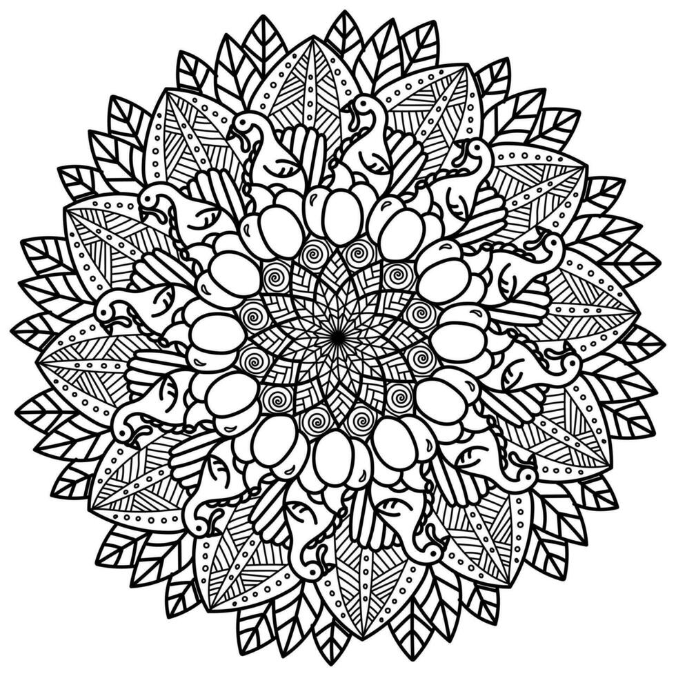 Thanksgiving mandala with turkey, pumpkin and leaves, meditative intricate coloring page vector