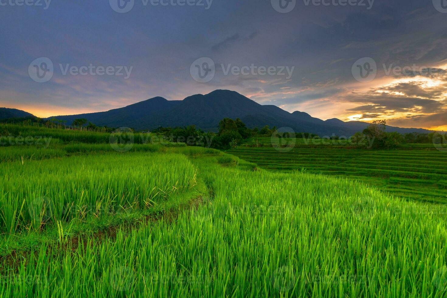 hermosa vista de la mañana indonesia panorama paisaje arrozales con color de belleza y luz natural del cielo foto