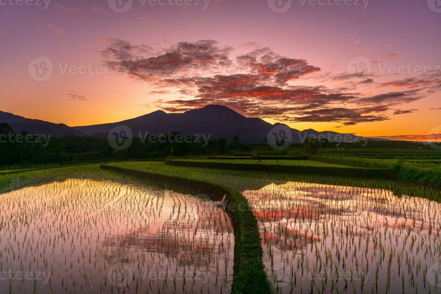 Beautiful morning view indonesia Panorama Landscape paddy fields with beauty color and sky natural light photo