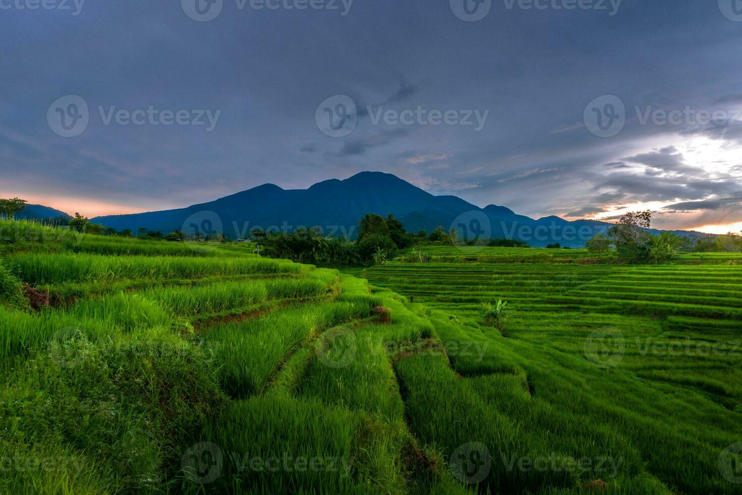 Beautiful morning view indonesia Panorama Landscape paddy fields with beauty color and sky natural light photo