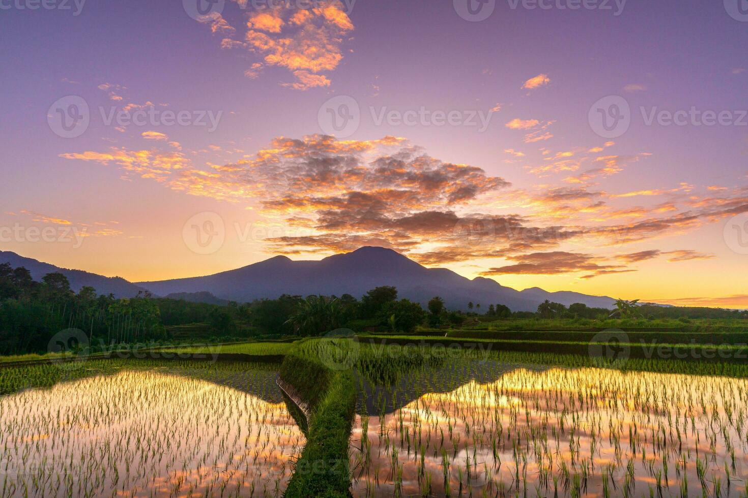 Beautiful morning view indonesia Panorama Landscape paddy fields with beauty color and sky natural light photo