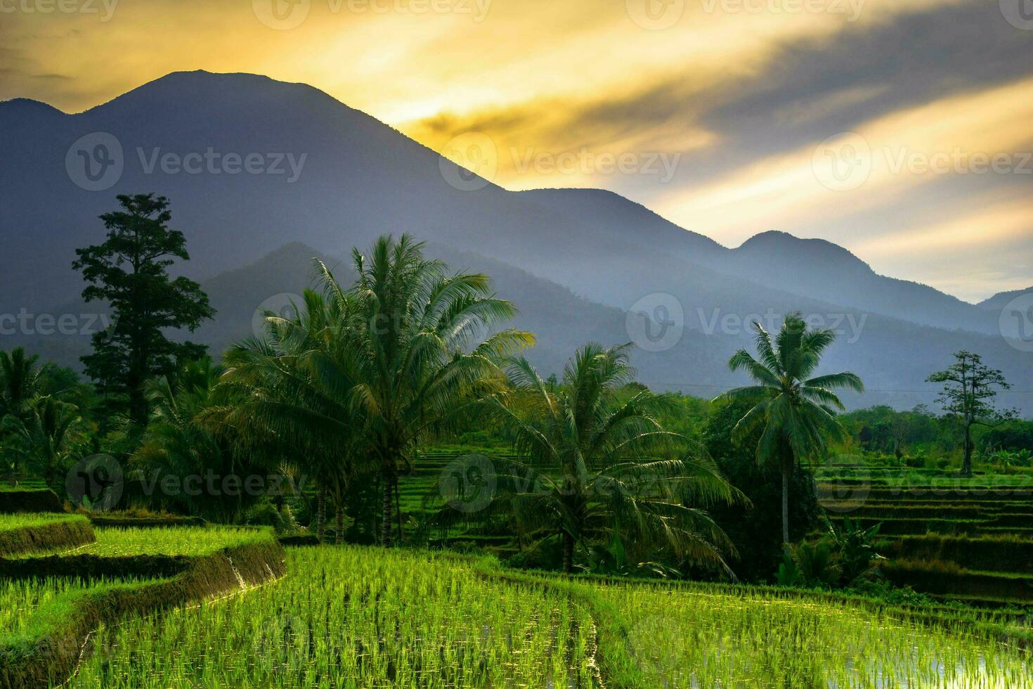 hermosa vista de la mañana indonesia panorama paisaje arrozales con color de belleza y luz natural del cielo foto
