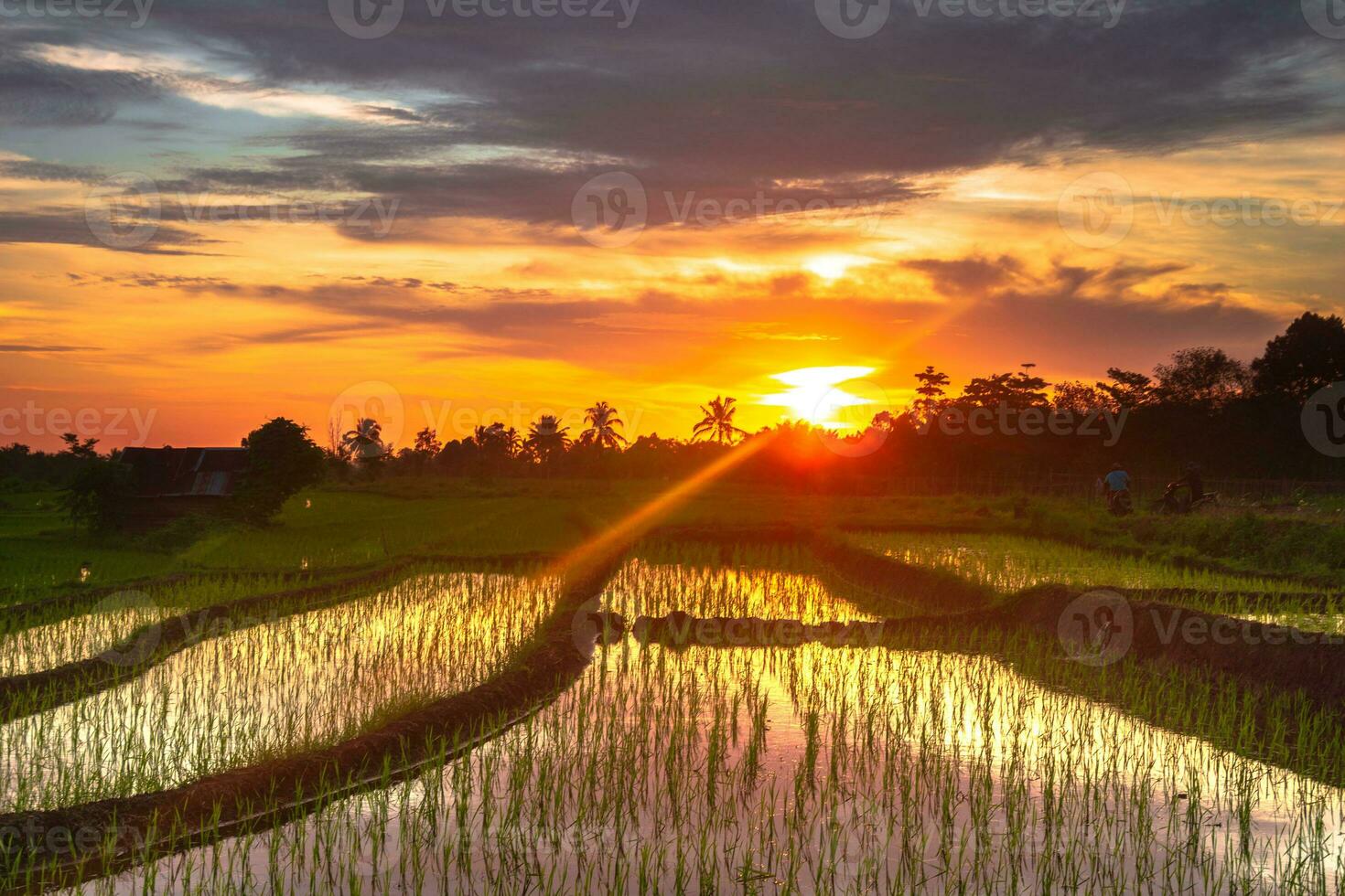 hermosa vista de la mañana indonesia panorama paisaje arrozales con color de belleza y luz natural del cielo foto