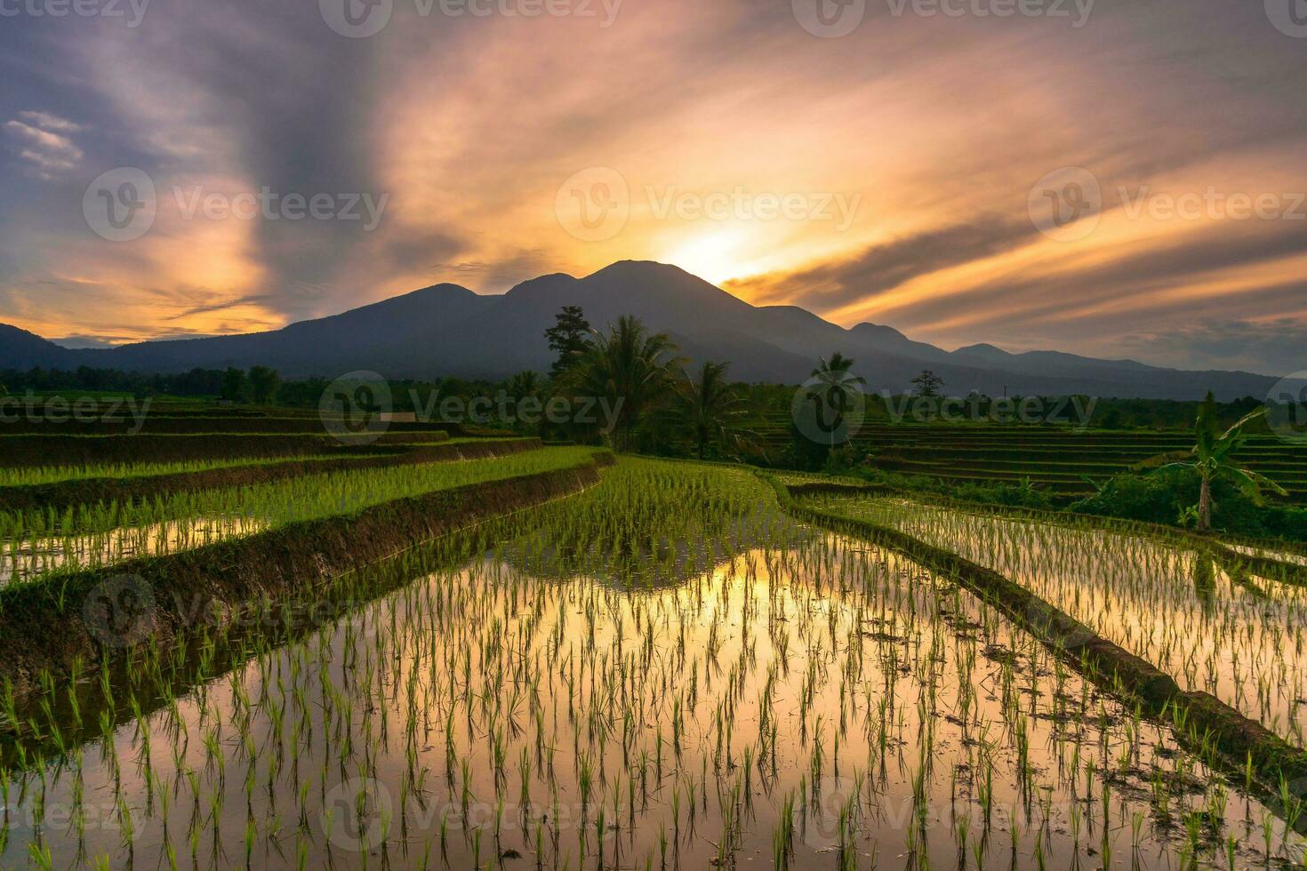 hermosa vista de la mañana indonesia panorama paisaje arrozales con color de belleza y luz natural del cielo foto
