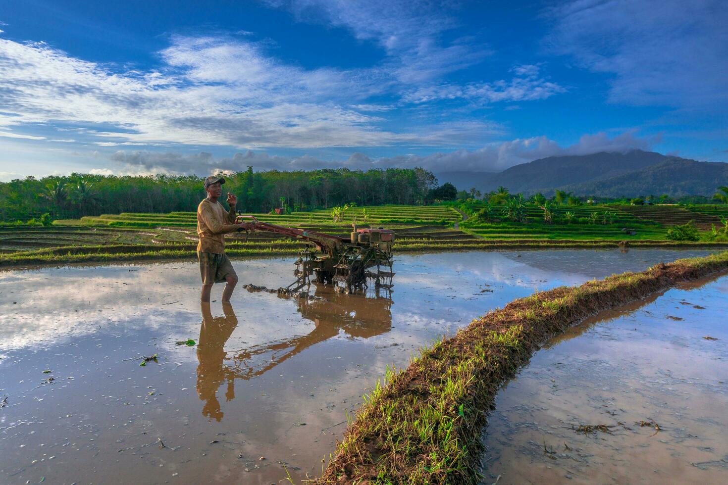 Beautiful morning view indonesia Panorama Landscape paddy fields with beauty color and sky natural light photo