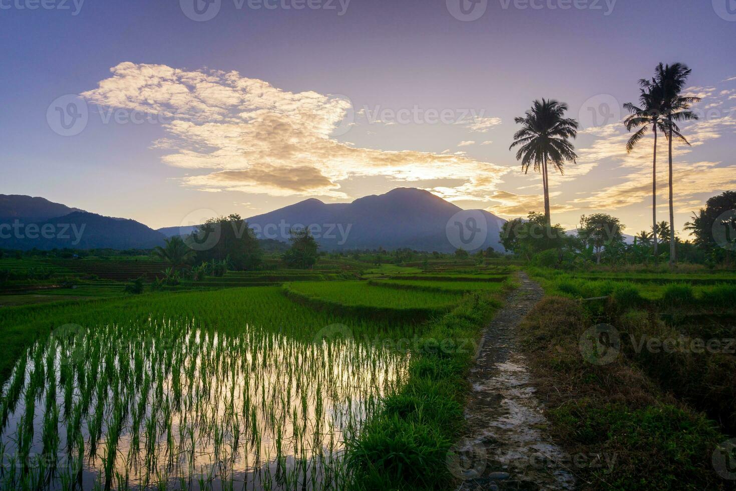 Beautiful morning view indonesia Panorama Landscape paddy fields with beauty color and sky natural light photo