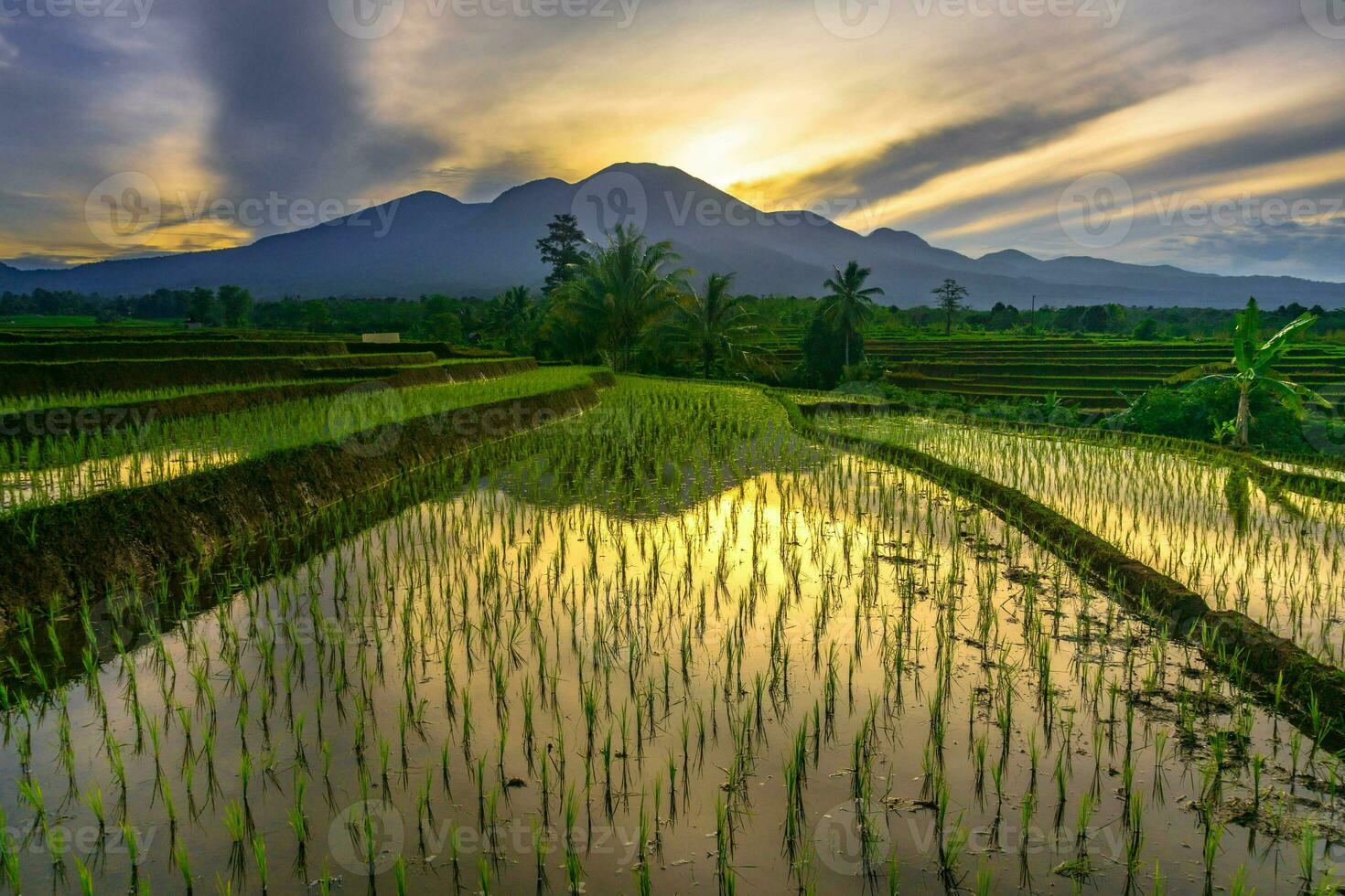 hermosa vista de la mañana indonesia panorama paisaje arrozales con color de belleza y luz natural del cielo foto