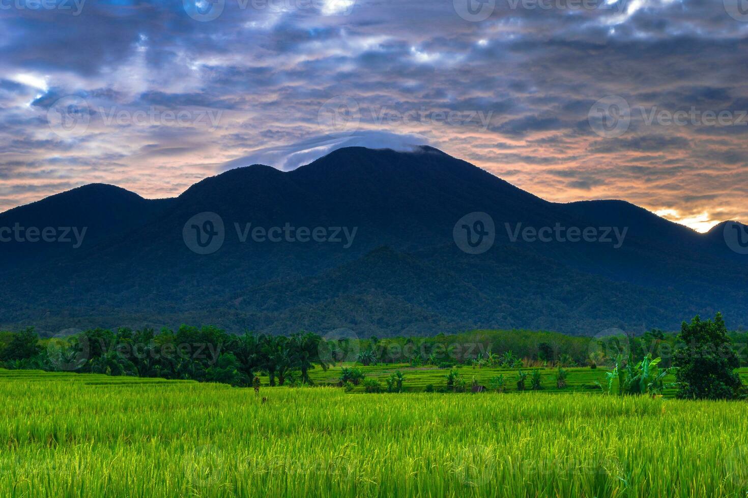 Beautiful morning view indonesia Panorama Landscape paddy fields with beauty color and sky natural light photo