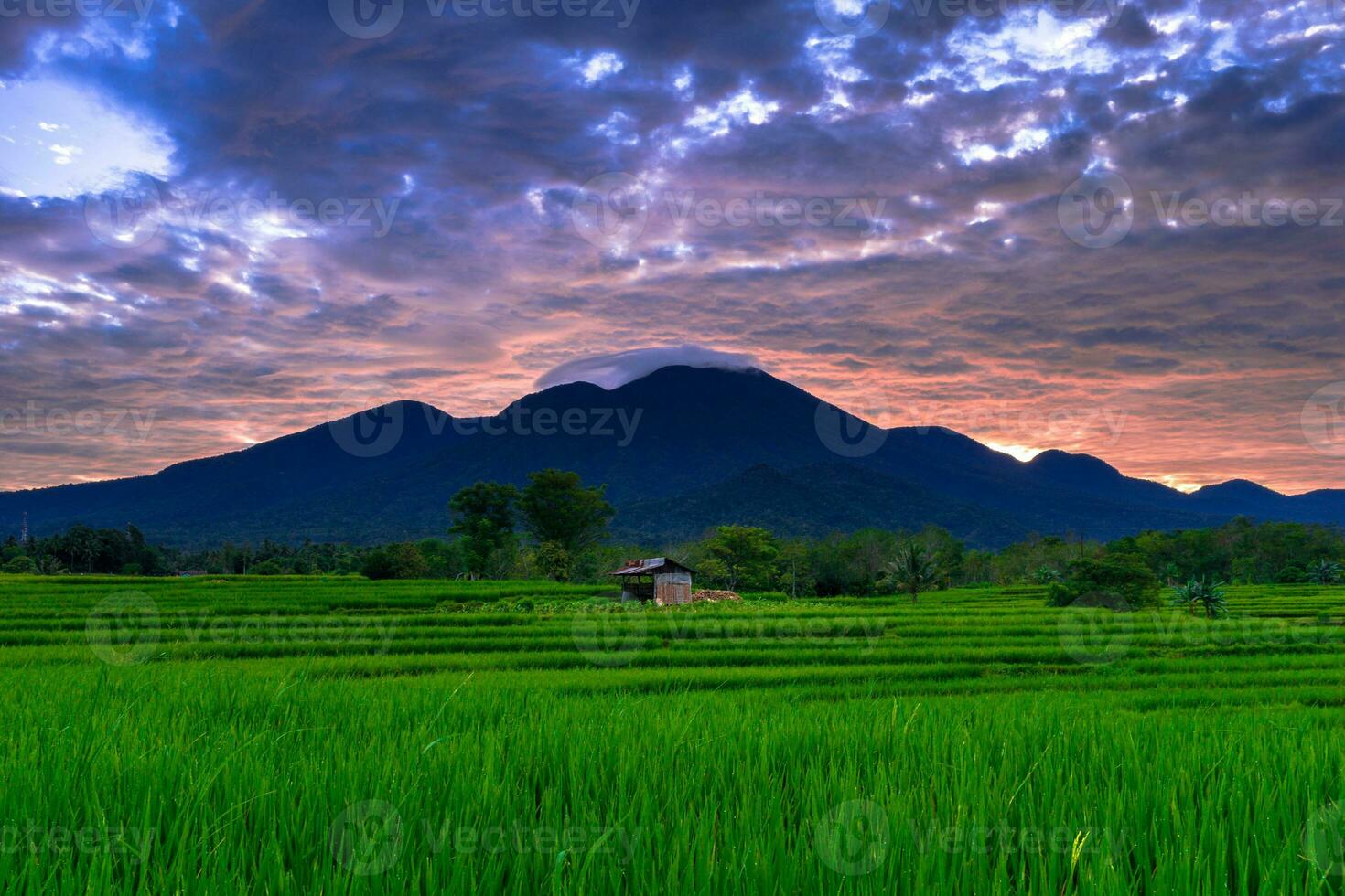 Beautiful morning view indonesia Panorama Landscape paddy fields with beauty color and sky natural light photo