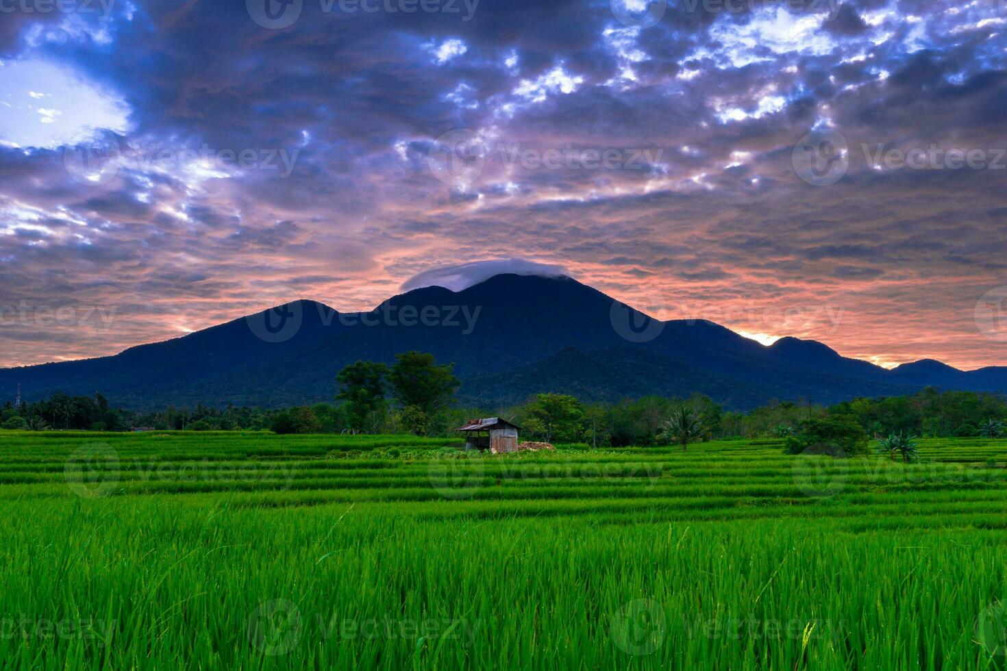 hermosa vista de la mañana indonesia panorama paisaje arrozales con color de belleza y luz natural del cielo foto