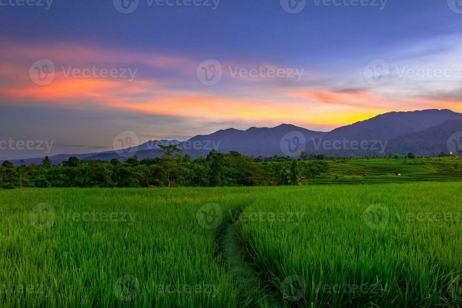 hermosa vista de la mañana indonesia panorama paisaje arrozales con color de belleza y luz natural del cielo foto