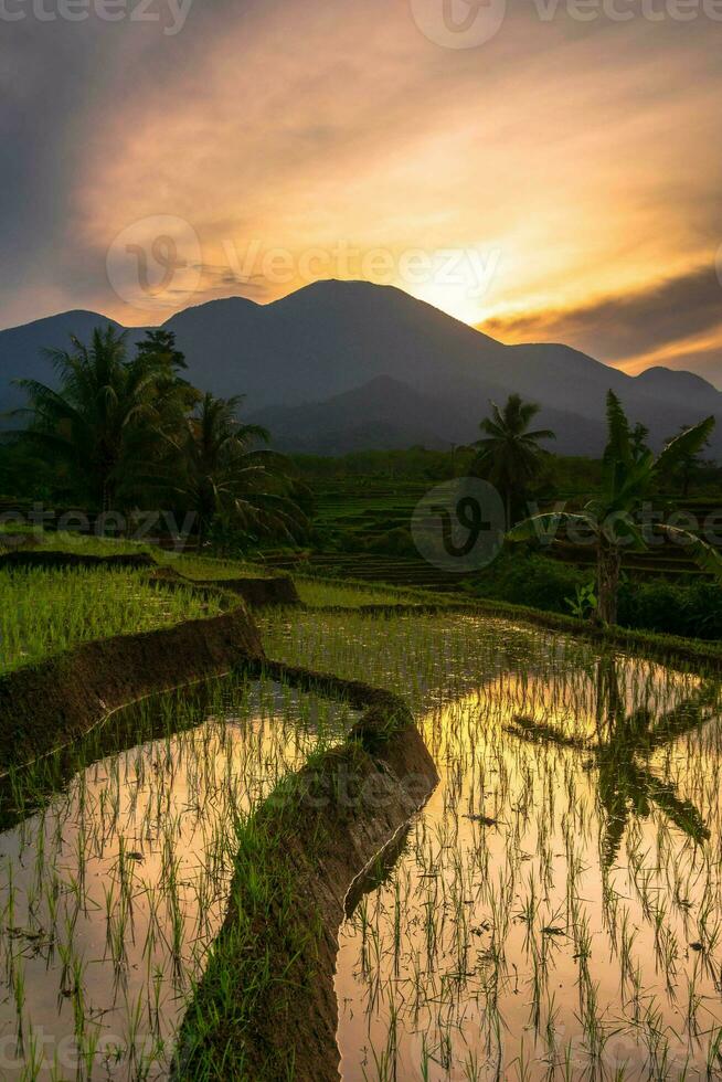 Beautiful morning view indonesia Panorama Landscape paddy fields with beauty color and sky natural light photo