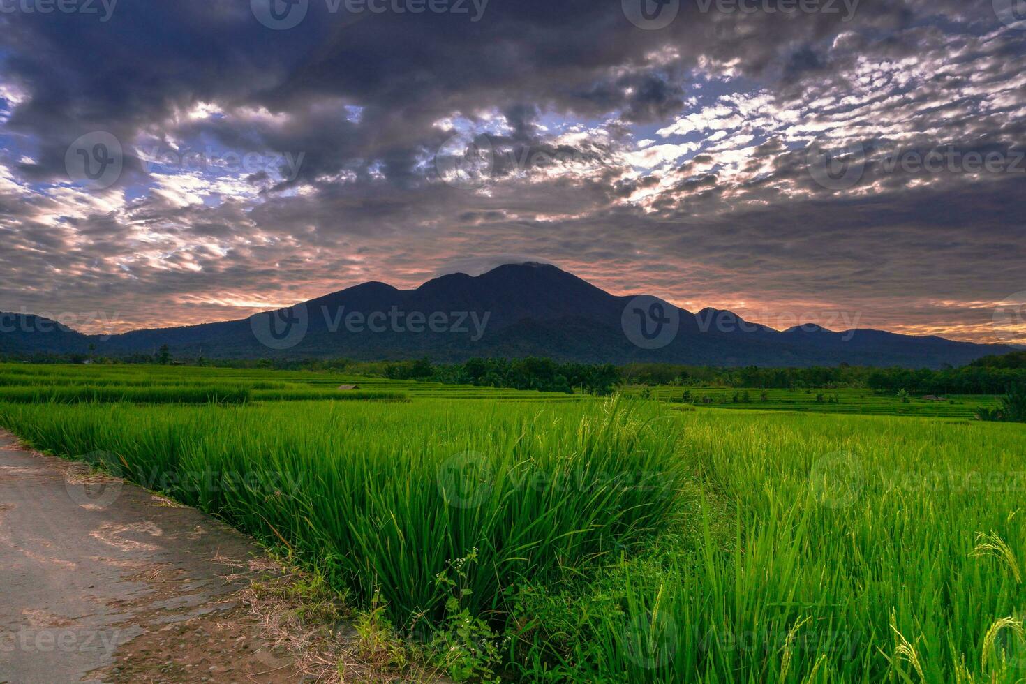 Beautiful morning view indonesia Panorama Landscape paddy fields with beauty color and sky natural light photo