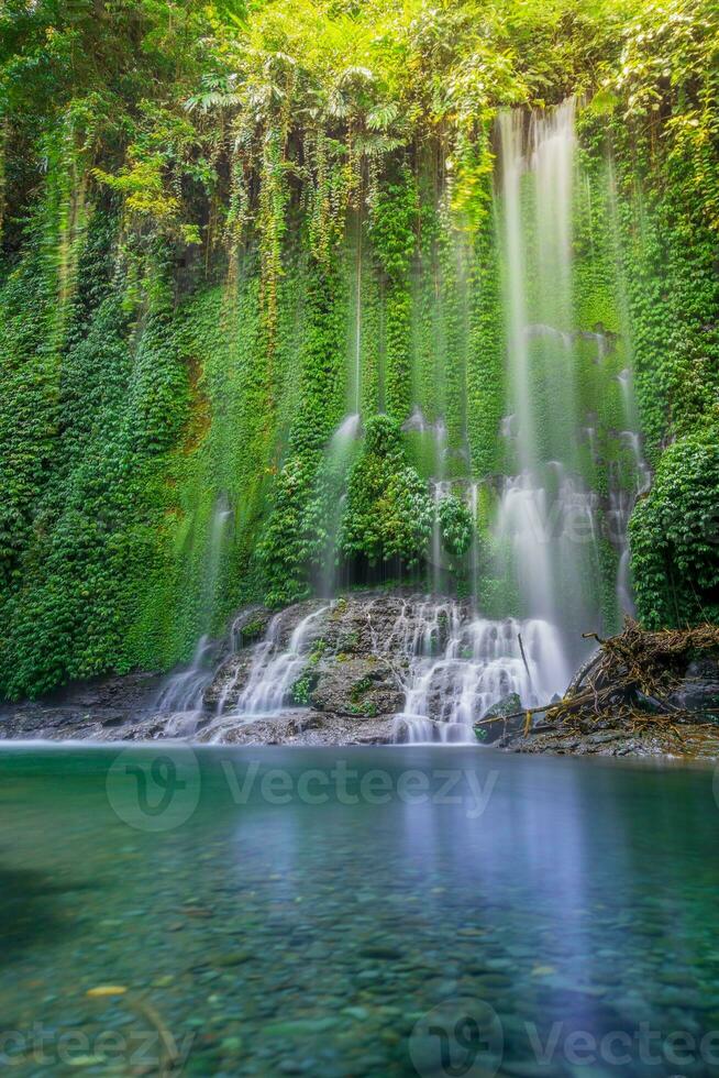 Beautiful morning view indonesia. Panorama Landscape paddy fields with beauty color and sky natural light photo