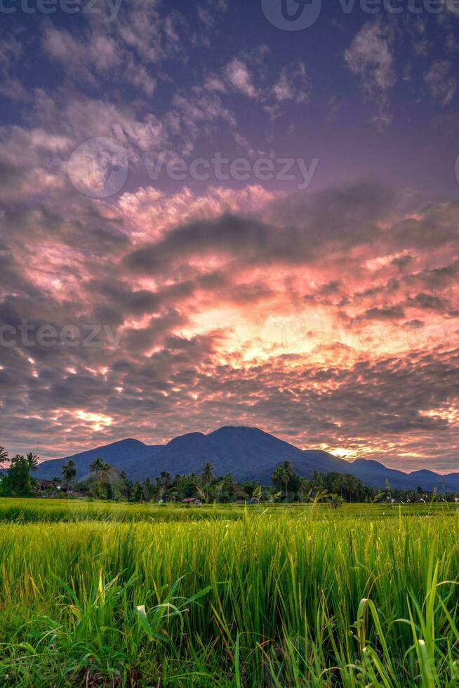 hermosa vista de la mañana indonesia panorama paisaje arrozales con color de belleza y luz natural del cielo foto