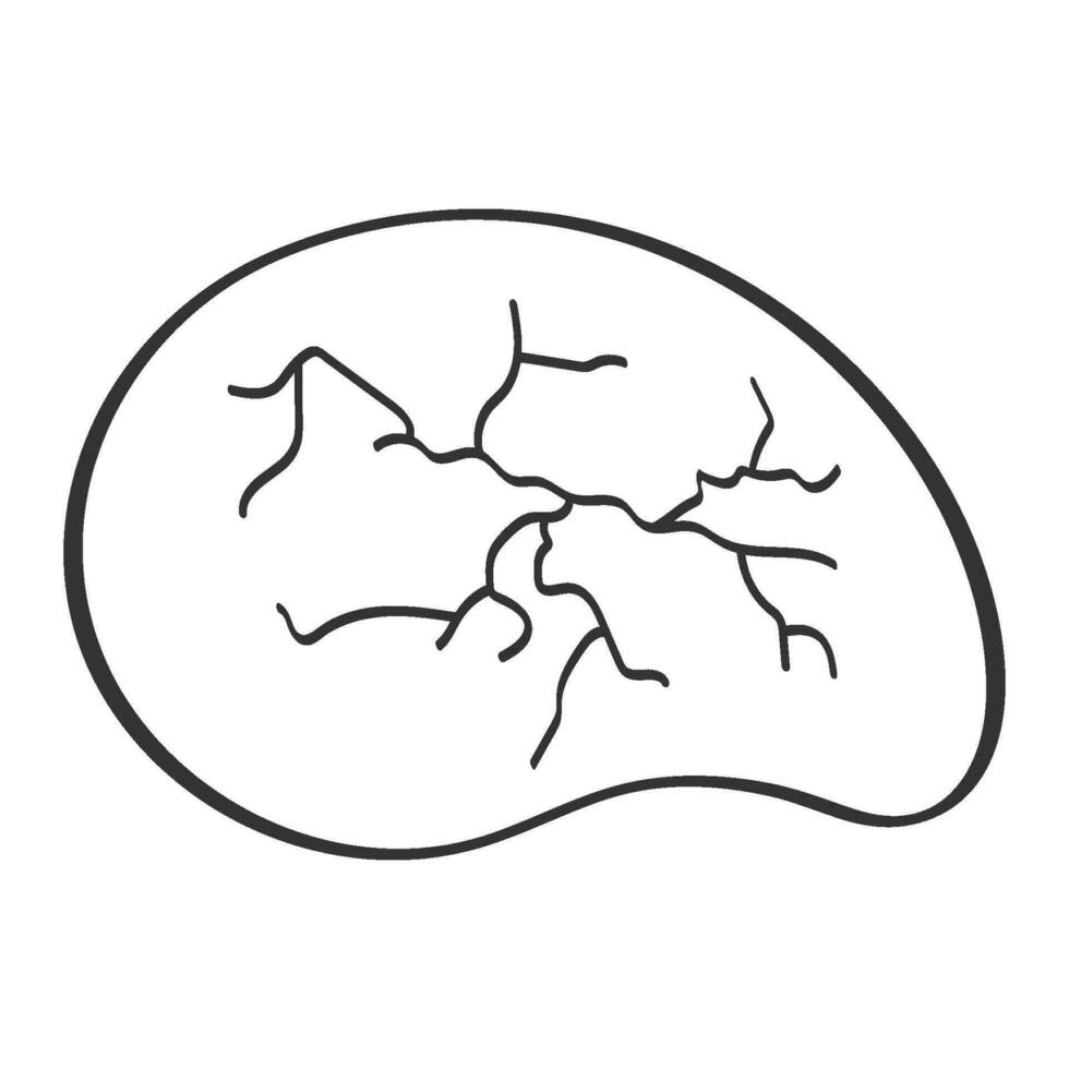 brain icon vector illustration design