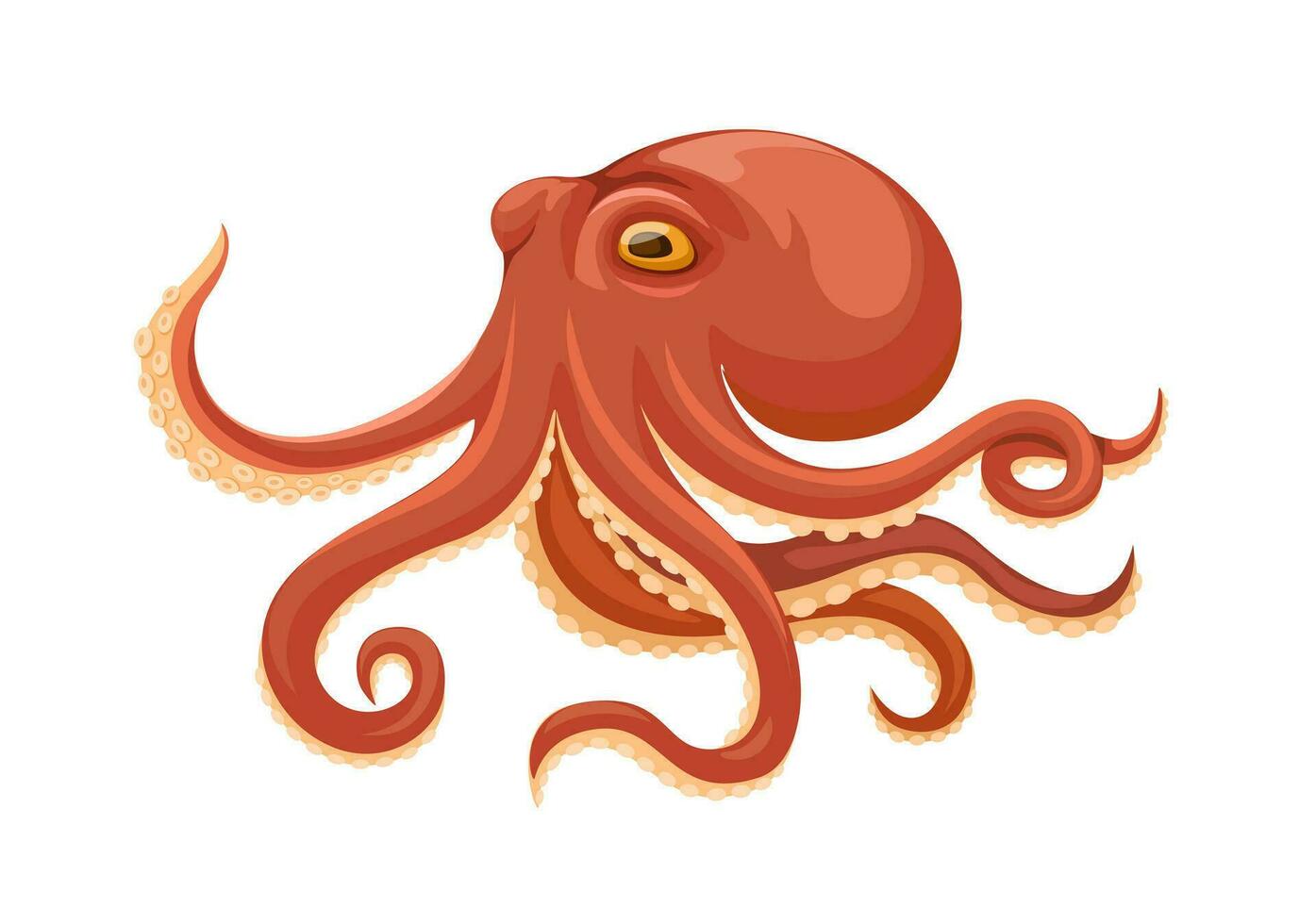 Octopus Aquatic Animal Cartoon illustration Vector