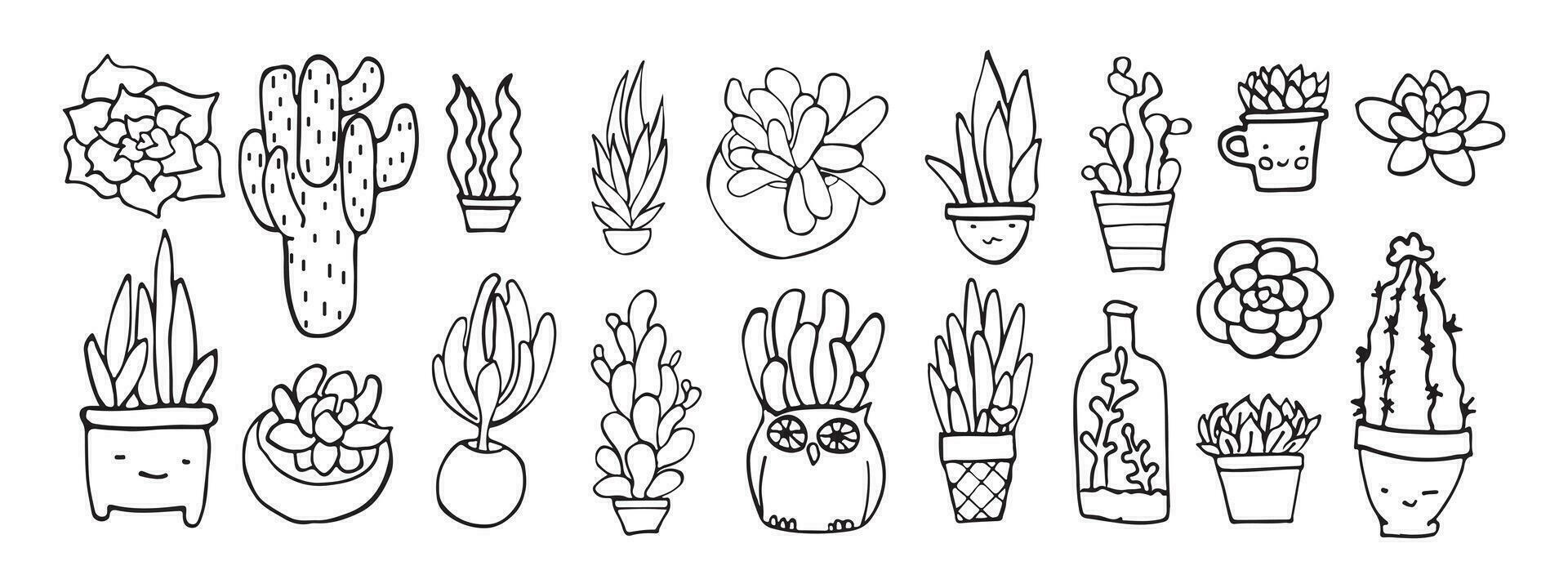 Vector  succulent doodle set, isolated collection on white background, outline plant coloring page, interior decor, gardening icon bundle, hand drawn line cactus terrarium