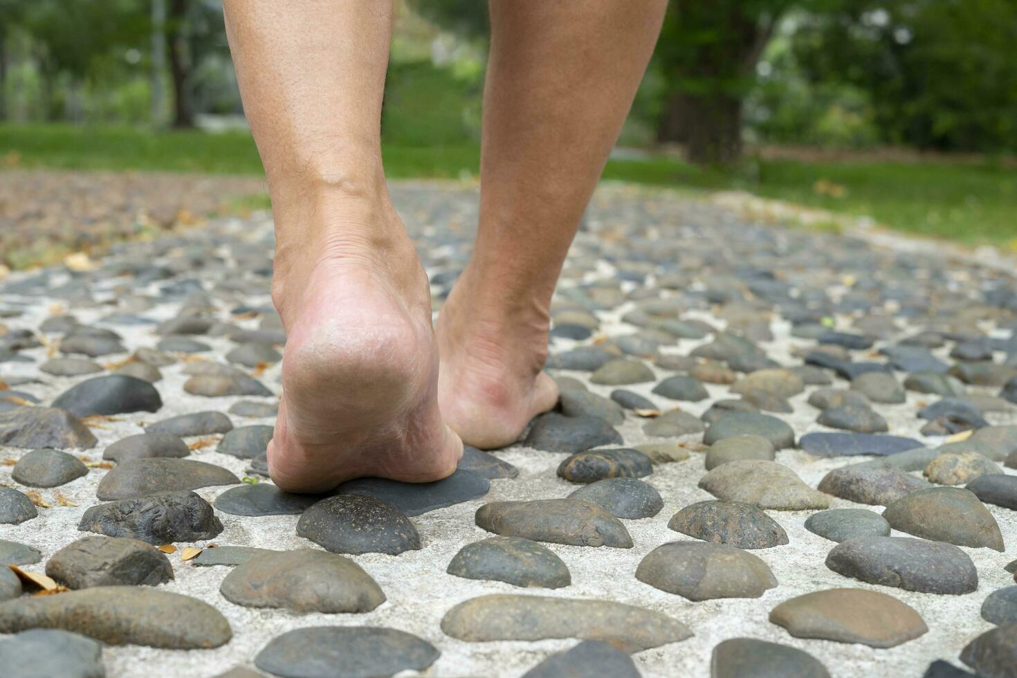 descalzo antiguo hombre pisar en piedras, pie reflexología a el parque.concepto de pie masaje para incrementar sangre circulación en ancianos,socorro para cansado y dolorido pies foto