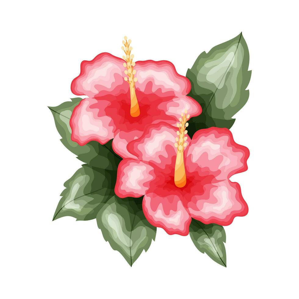 Hibiscus illustration, colorful flower vector