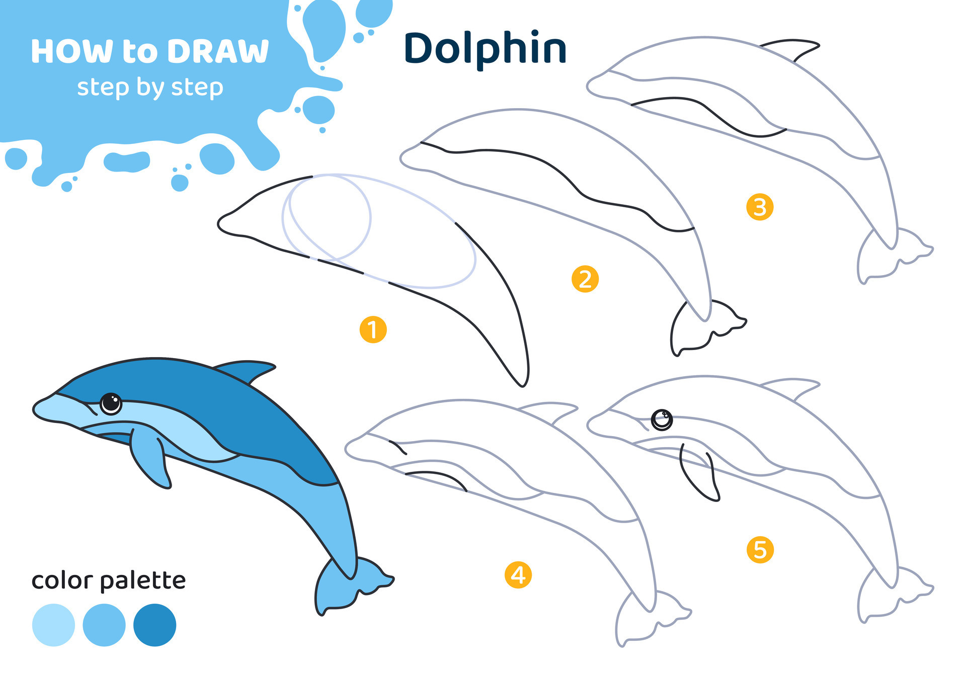 How to Draw a Spinner Dolphin