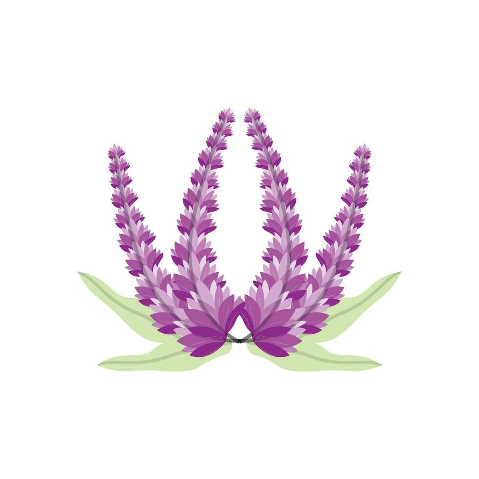 Lavender Logo, Purple Plant Vector, Garden Design, Illustration Symbol Template vector