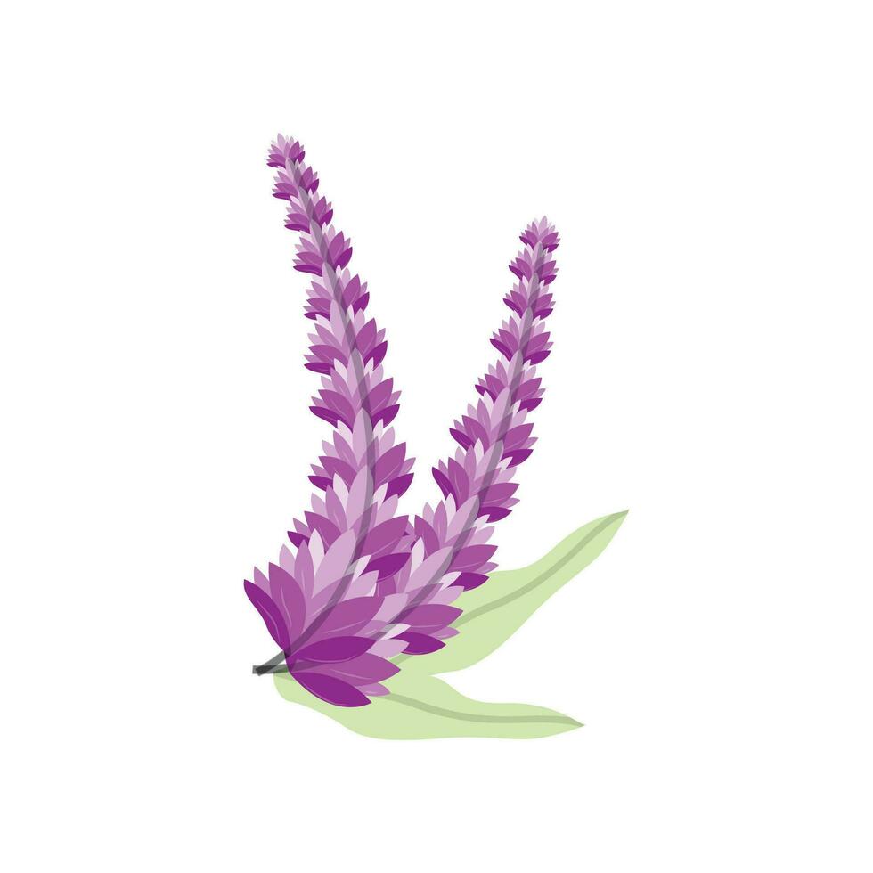 lavanda logo, púrpura planta vector, jardín diseño, ilustración símbolo modelo vector