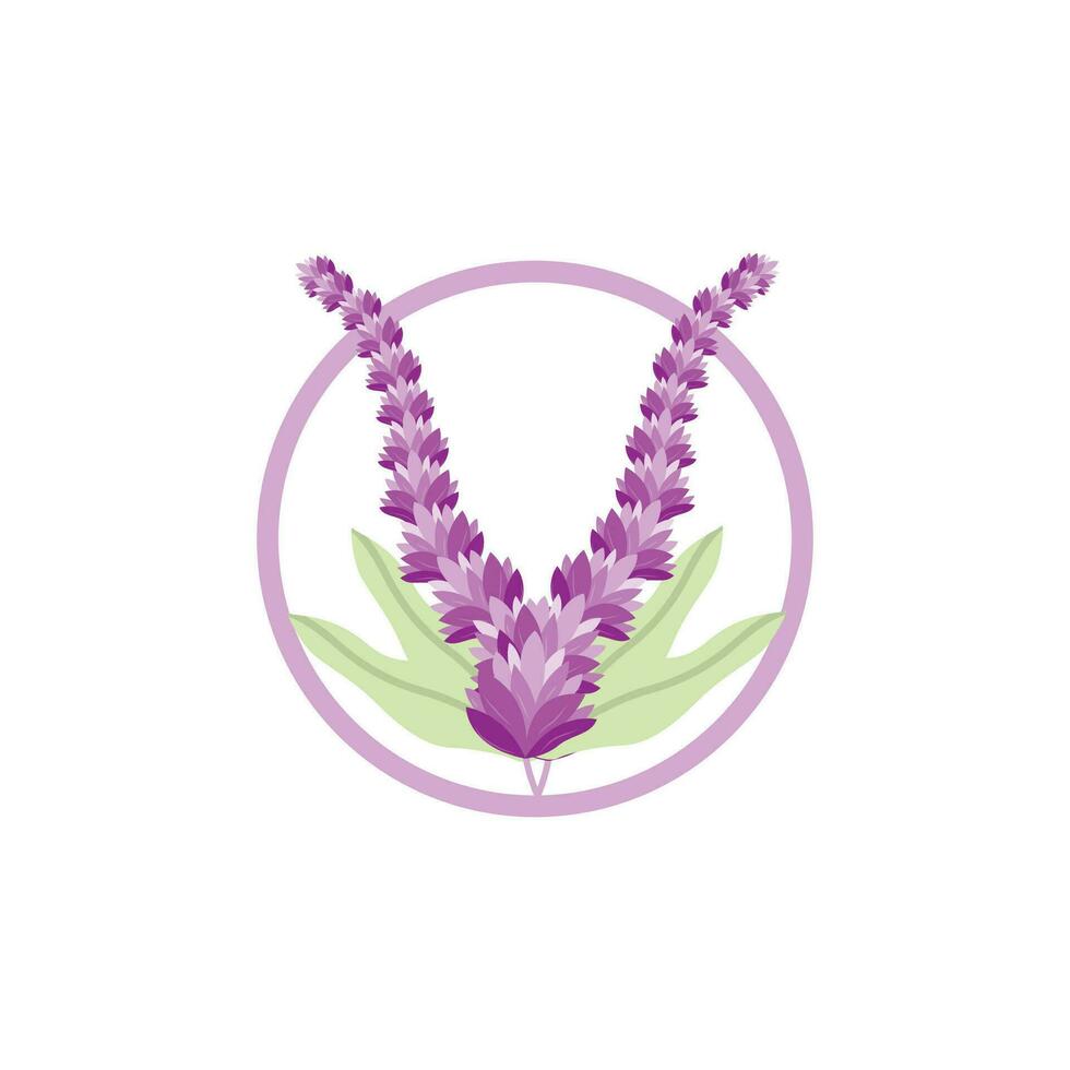 Lavender Logo, Purple Plant Vector, Garden Design, Illustration Symbol Template vector