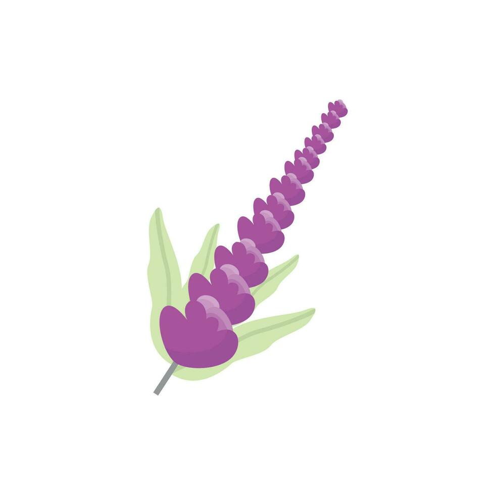 Lavender Logo, Purple Plant Vector, Garden Design, Illustration Symbol Template vector