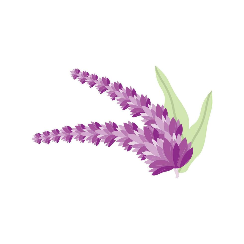 lavanda logo, púrpura planta vector, jardín diseño, ilustración símbolo modelo vector