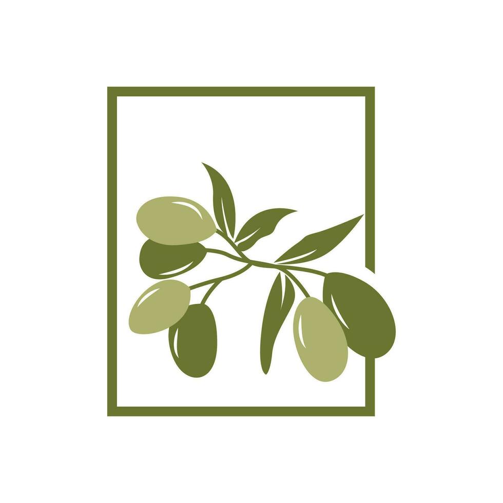 Olive Logo Design, Olive Oil Tree Vector, Simple Illustration Template vector