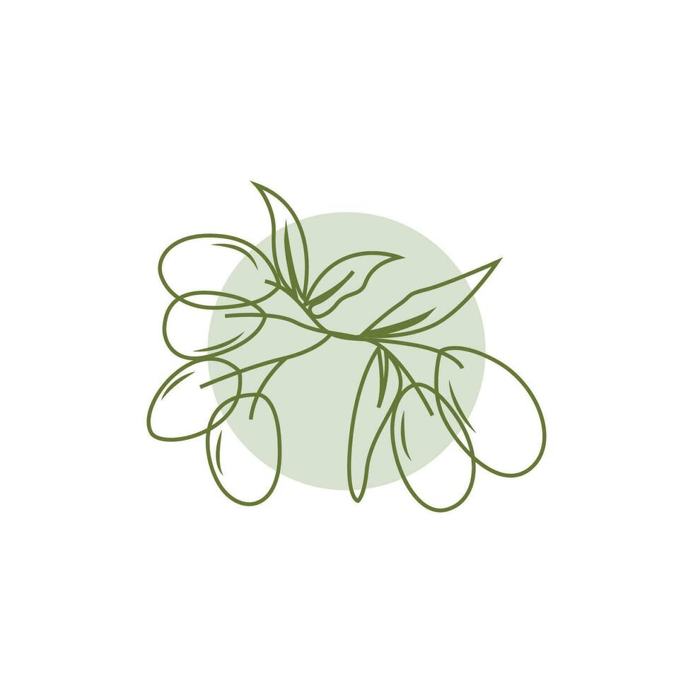 Olive Logo Design, Olive Oil Tree Vector, Simple Illustration Template vector