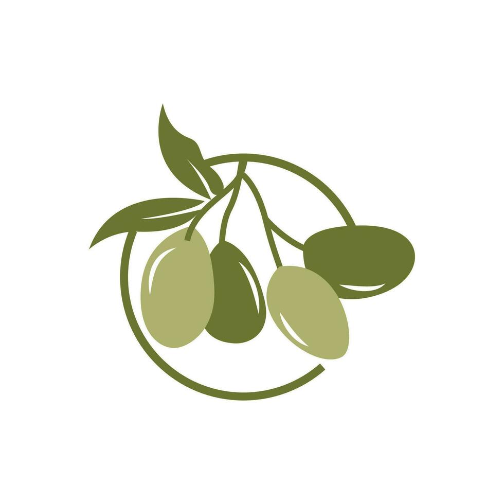 Olive Logo Design, Olive Oil Tree Vector, Simple Illustration Template vector