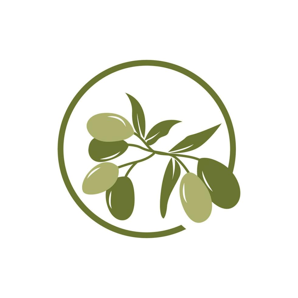 Olive Logo Design, Olive Oil Tree Vector, Simple Illustration Template vector