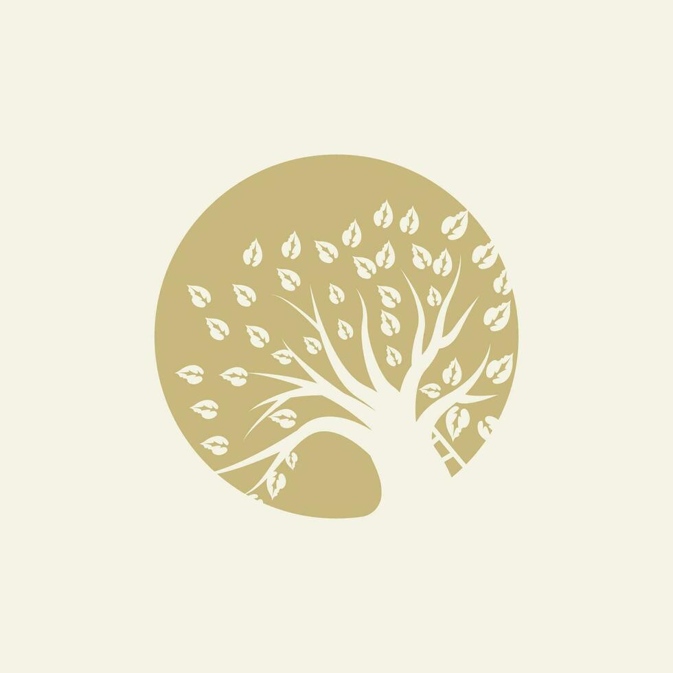 Tree Logo Design, Playground Vector, Education Tree Icon vector