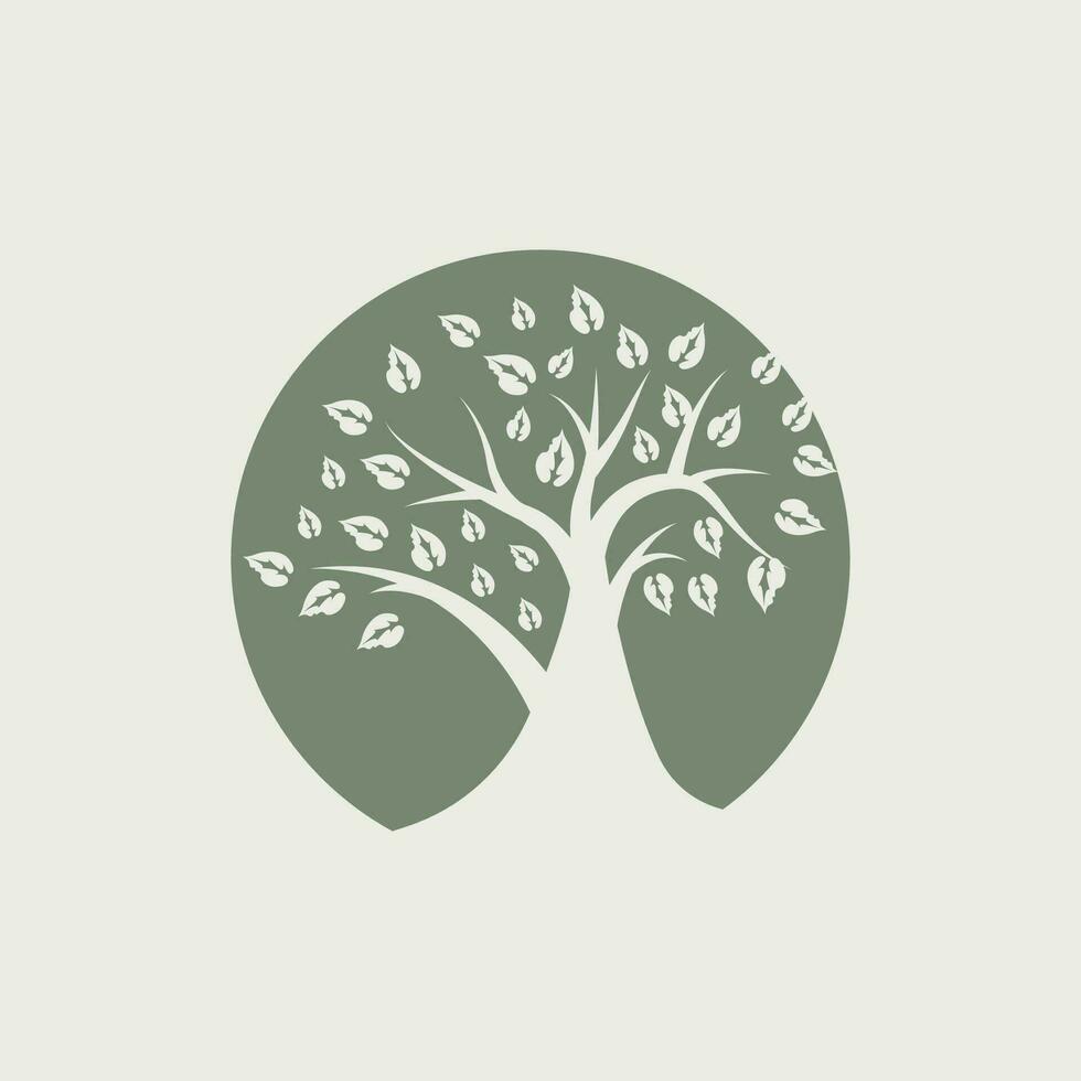 Tree Logo Design, Playground Vector, Education Tree Icon vector