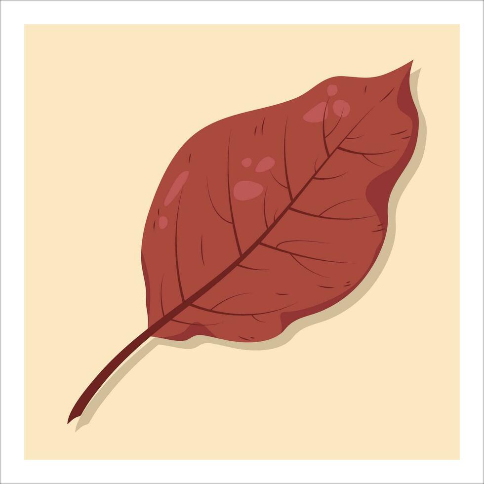Autumn leaf, isolated on yellow background. Colorful red, brown  beech, alder or elm leaf. Fall design element. Objects for design, cards, banners, flyer, social media, web, decoration vector