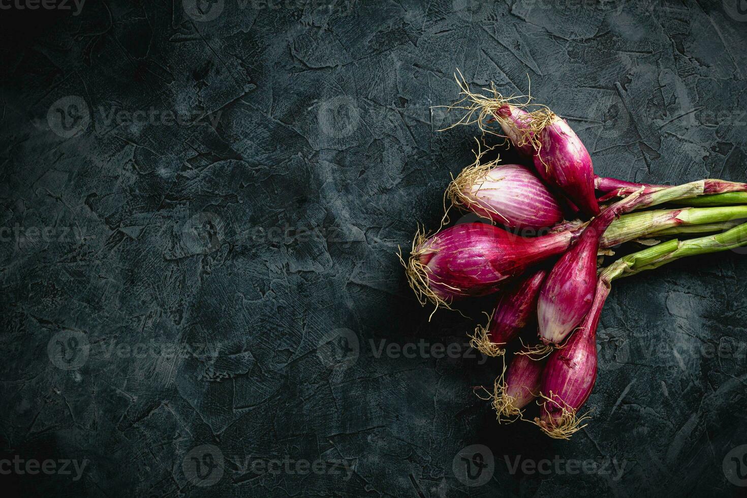 brotado cebollas crecido a hogar en un oscuro antecedentes con un Copiar espacio para el texto parte superior vista. crudo alimento, Respetuoso del medio ambiente producto. foto