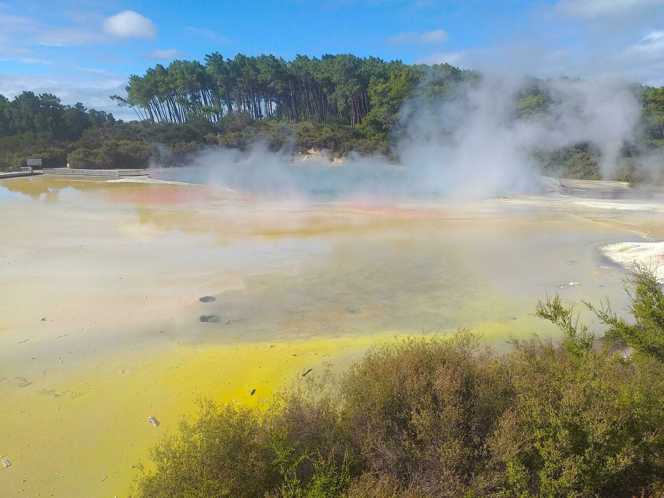 Rotorua térmicas, nuevo Zelanda foto