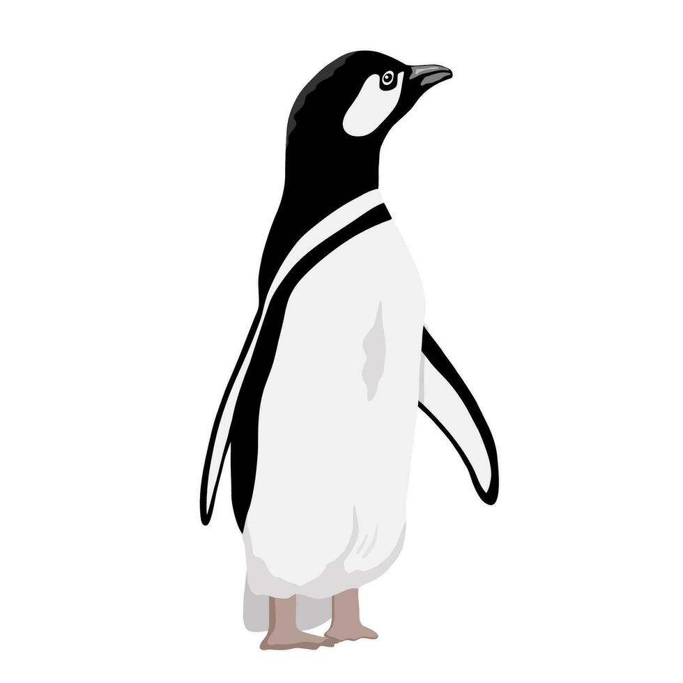 Cute Penguin. Flat vector illustration isolated on white. Polar animal