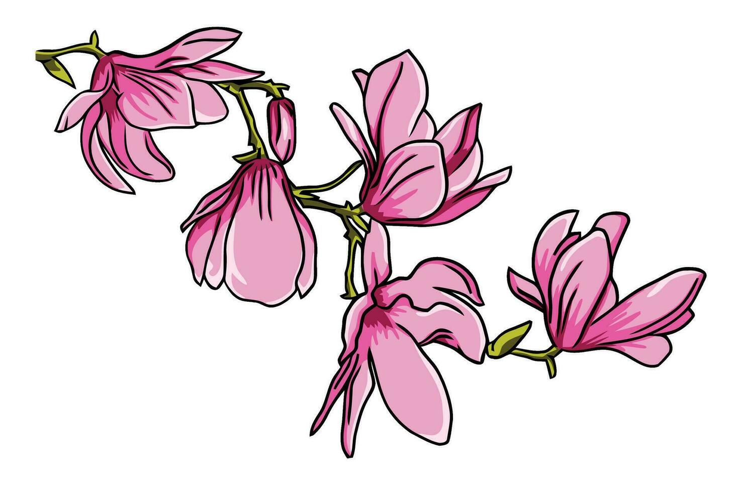 Cereza flores ilustración vector