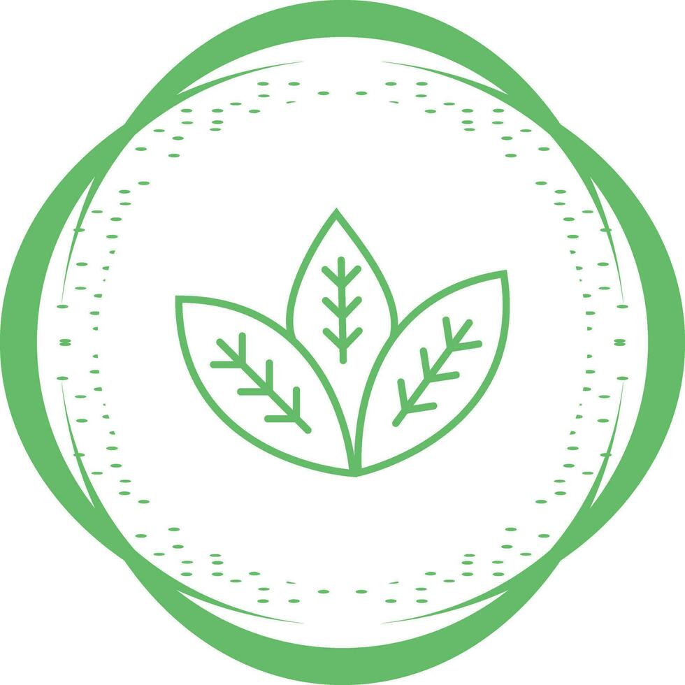 Spearmint Vector Icon